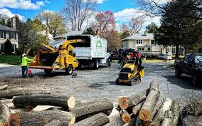  , USA Tree Care Services Pros